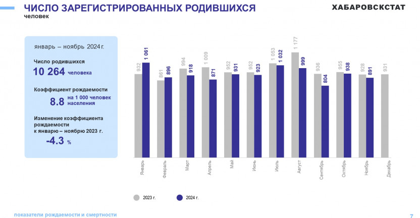 О естественном движении населения Хабаровского края за январь-ноябрь 2024